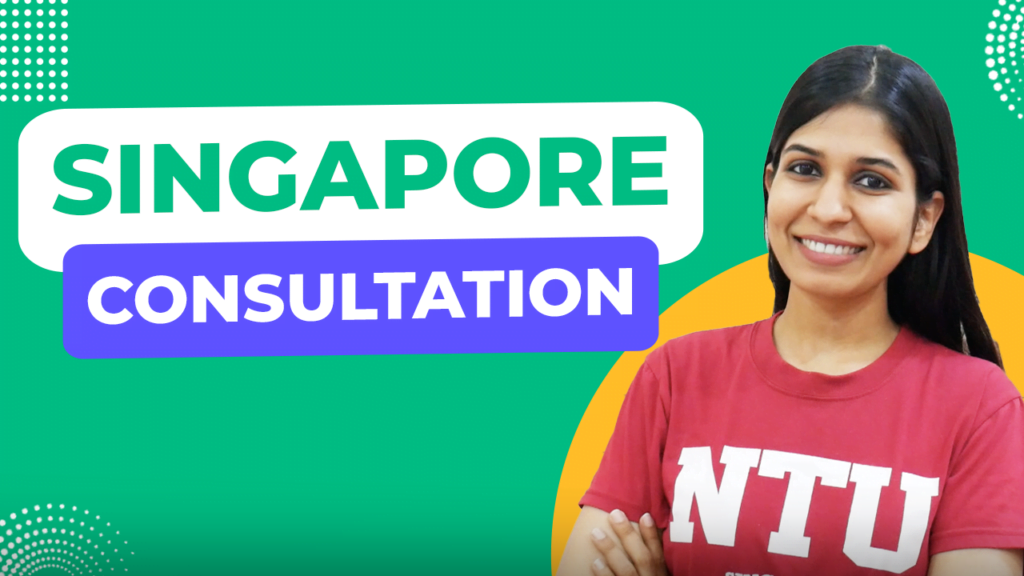 Singapore consultation
