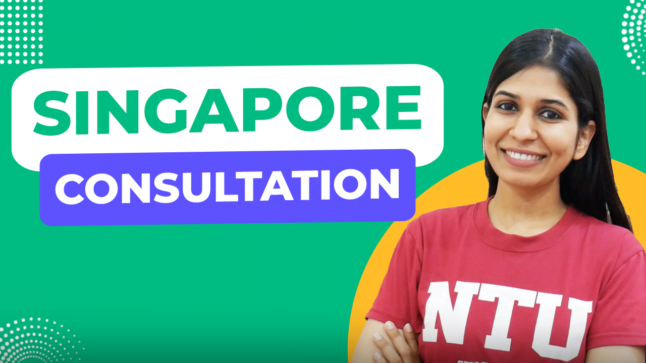 Singapore consultation
