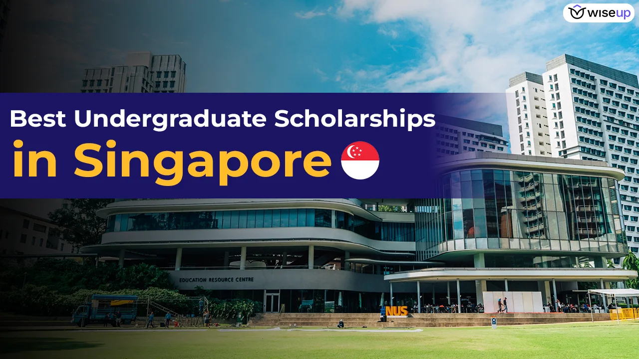 undergraduate scholarships in singapore