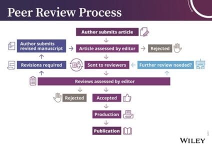 peer review process